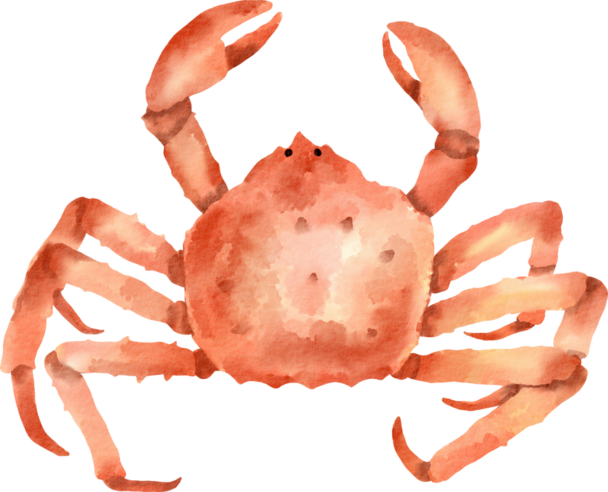 watercolor king crab